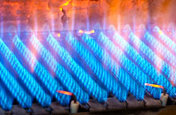 Hirnant gas fired boilers
